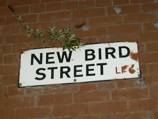 New Bird Steet